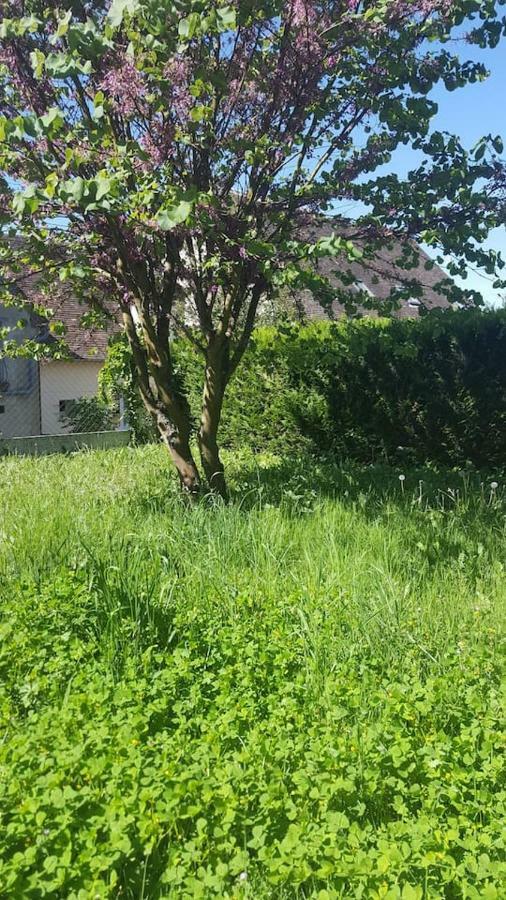 Вилла Maison De Campagne A 1H20 De Paris Saint-Hilaire-les-Andresis Экстерьер фото
